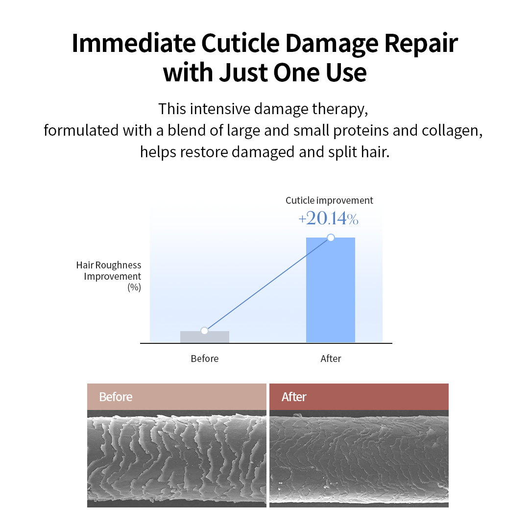 GROWUS Damage Therapy No-Wash Treatment EX - 2 types